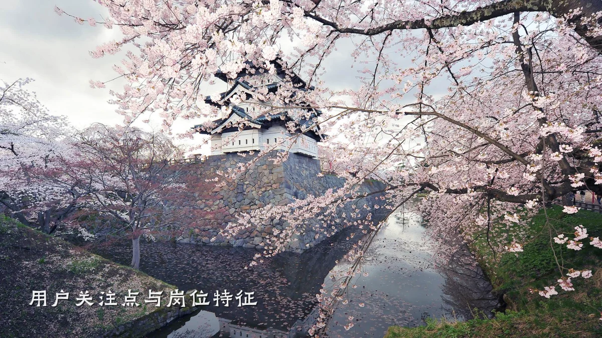 用户关注点与岗位特征