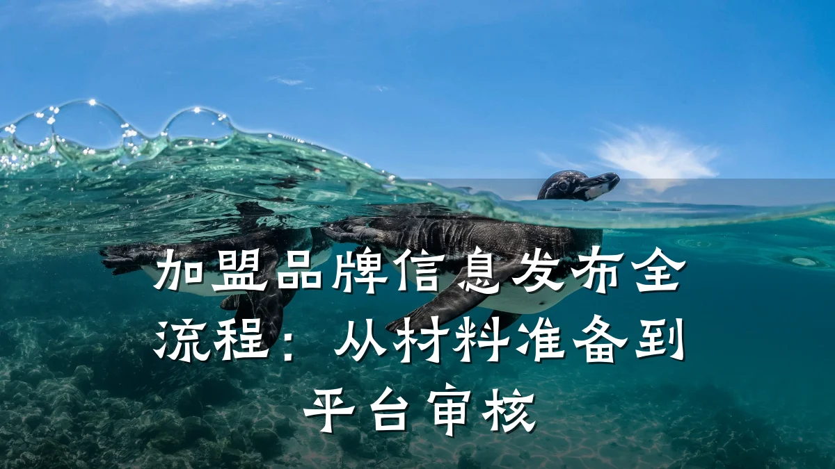 加盟品牌信息发布全流程:从材料准备到平台审核