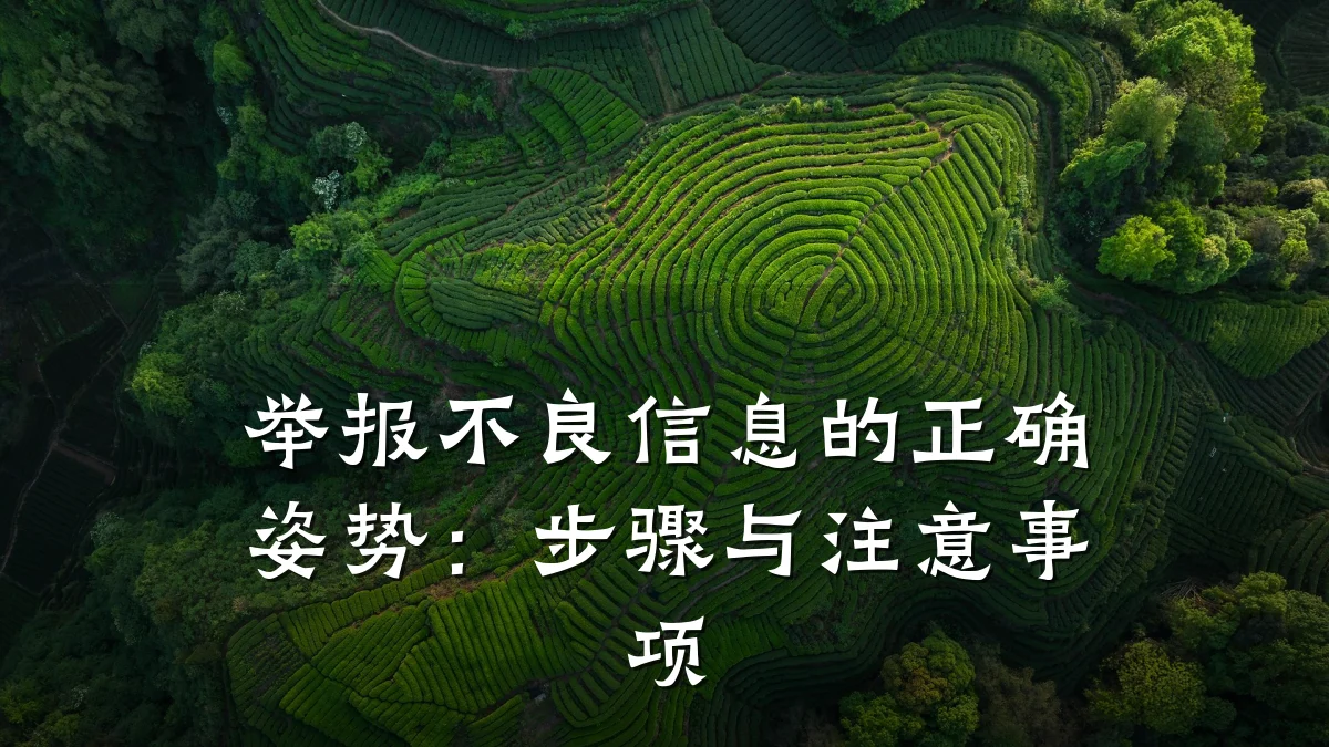 举报不良信息的正确姿势:步骤与注意事项
