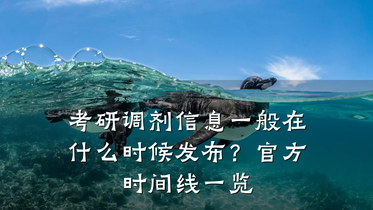 考研调剂信息一般在什么时候发布？官方时间线一览
