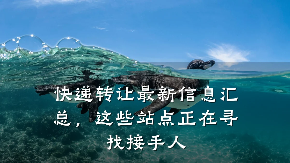 快递转让最新信息汇总,这些站点正在寻找接手人