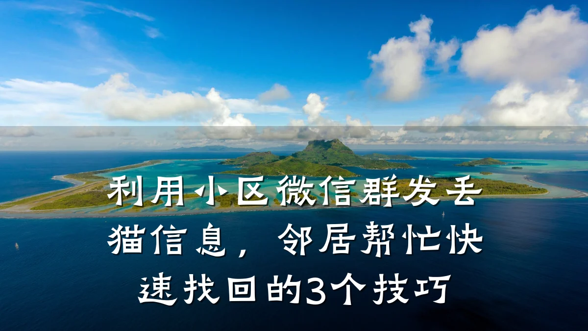 利用小区微信群发丢猫信息,邻居帮忙快速找回的3个技巧