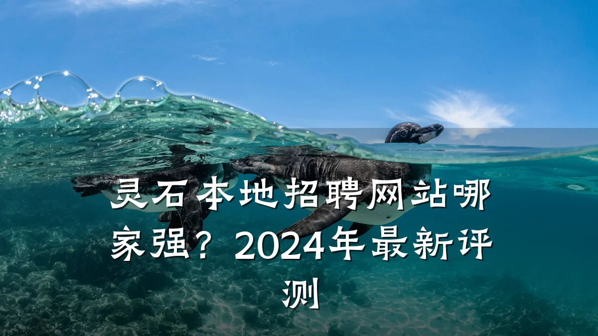 灵石本地招聘网站哪家强?2024年最新评测