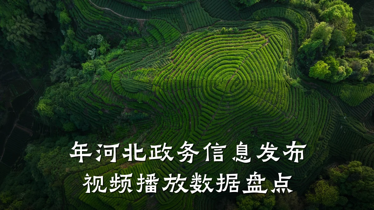 年河北政务信息发布视频播放数据盘点