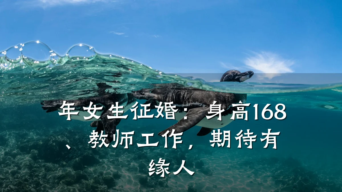 年女生征婚:身高168、教师工作,期待有缘人