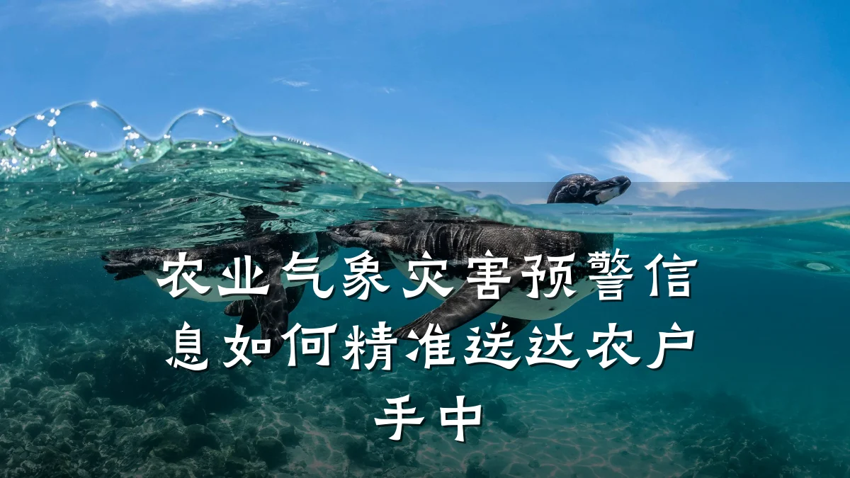 农业气象灾害预警信息如何精准送达农户手中
