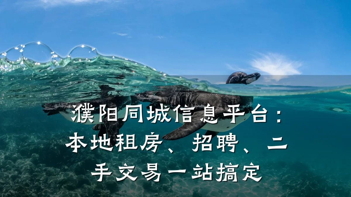 濮阳同城信息平台：本地租房、招聘、二手交易一站搞定