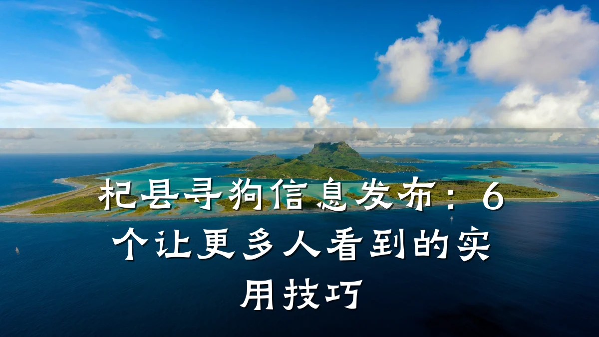 杞县寻狗信息发布:6个让更多人看到的实用技巧