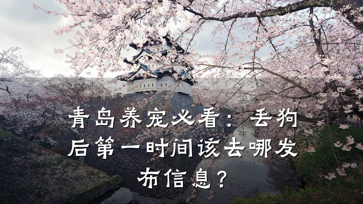 青岛养宠必看:丢狗后第一时间该去哪发布信息?