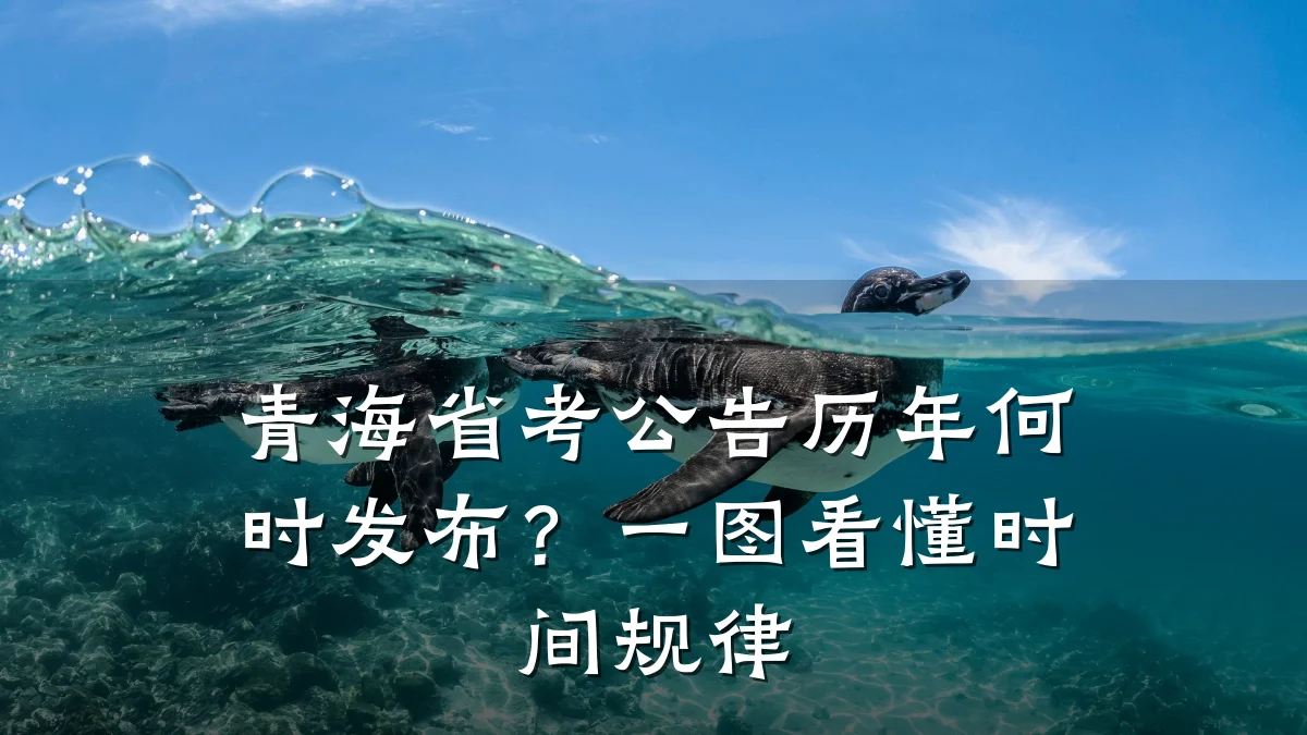 青海省考公告历年何时发布?一图看懂时间规律