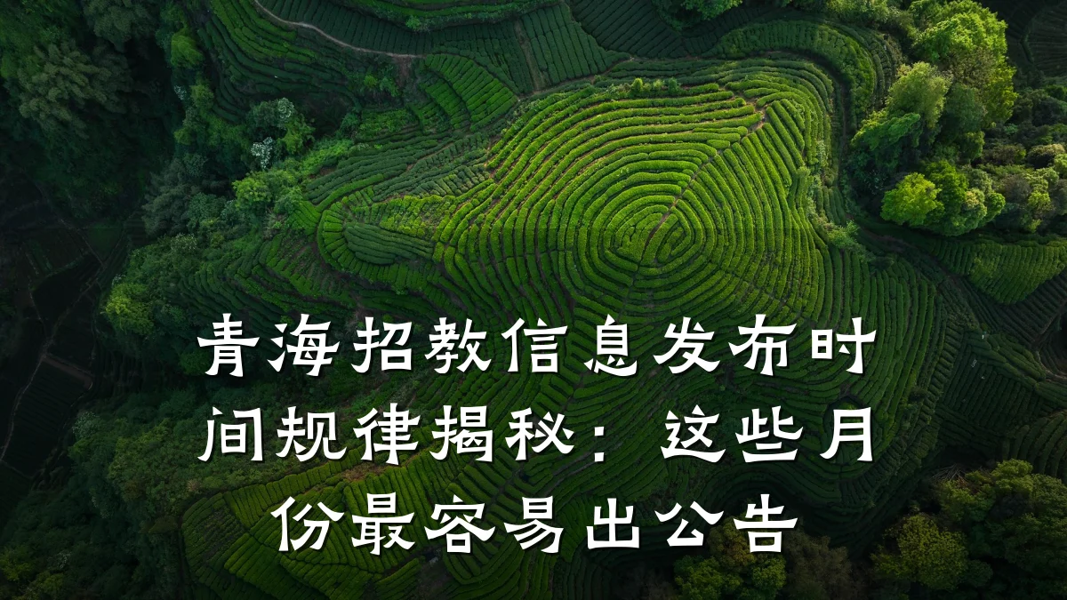 青海招教信息发布时间规律揭秘:这些月份最容易出公告