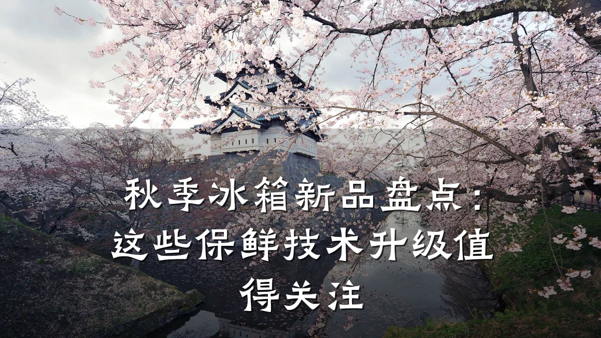 秋季冰箱新品盘点:这些保鲜技术升级值得关注