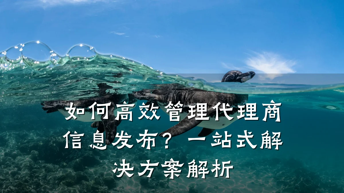 如何高效管理代理商信息发布?一站式解决方案解析