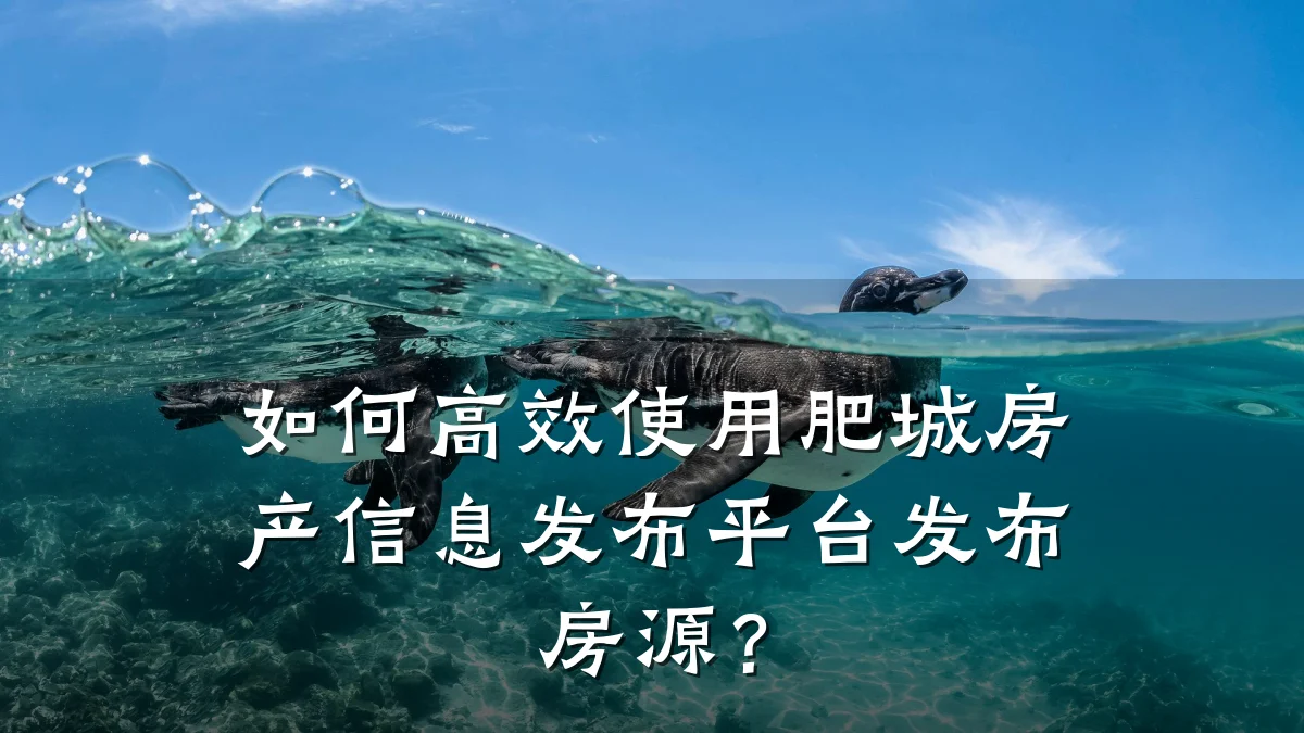 如何高效使用肥城房产信息发布平台发布房源?