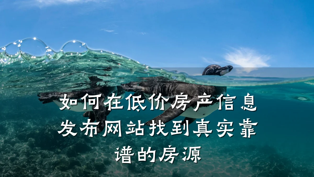 如何在低价房产信息发布网站找到真实靠谱的房源