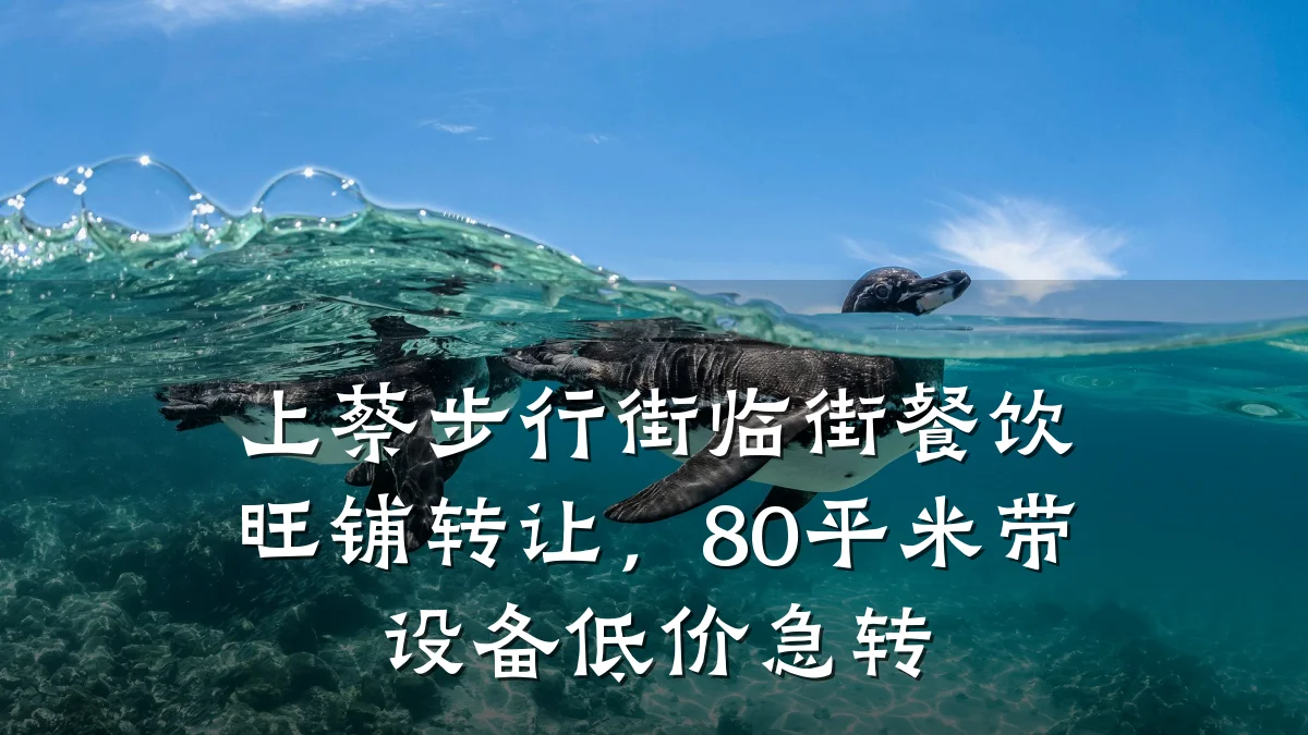 上蔡步行街临街餐饮旺铺转让,80平米带设备低价急转