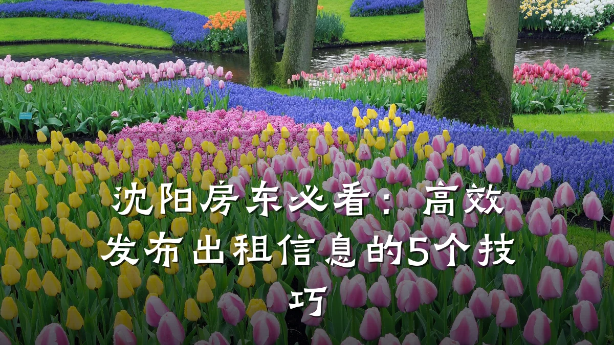 沈阳房东必看:高效发布出租信息的5个技巧