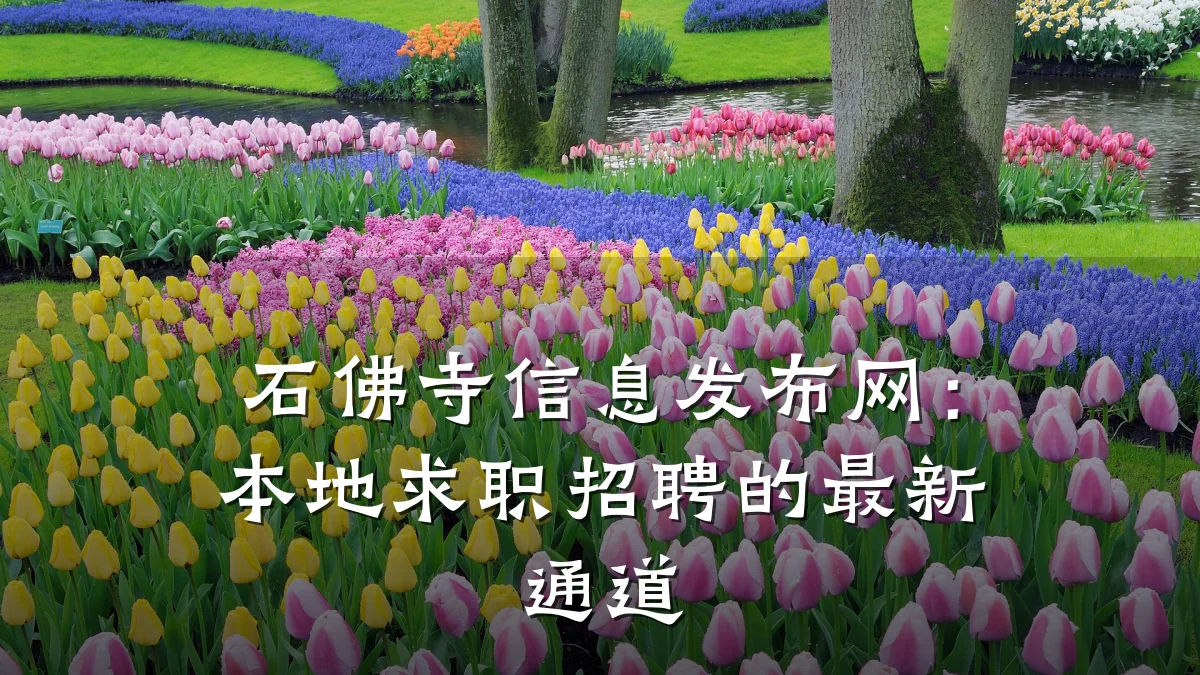 石佛寺信息发布网:本地求职招聘的最新通道
