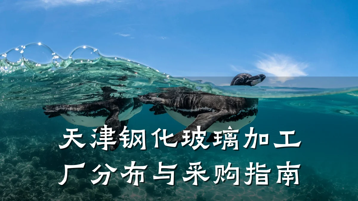 天津钢化玻璃加工厂分布与采购指南