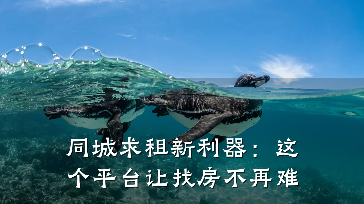 同城求租新利器:这个平台让找房不再难