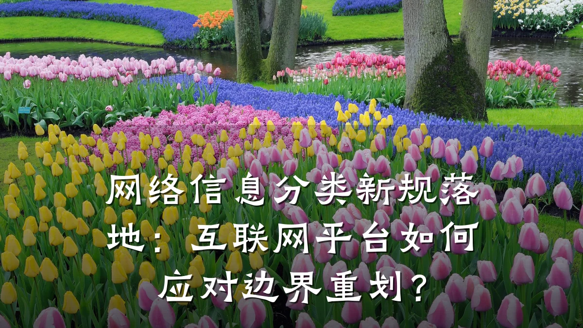 网络信息分类新规落地:互联网平台如何应对边界重划?
