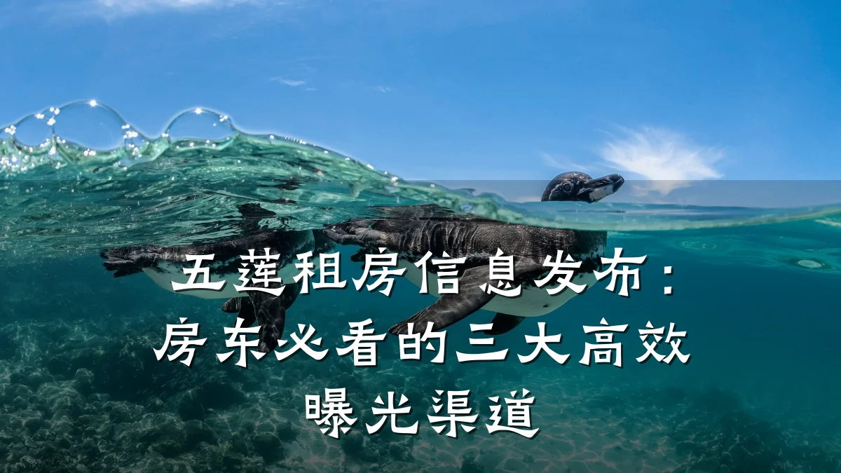 五莲租房信息发布:房东必看的三大高效曝光渠道