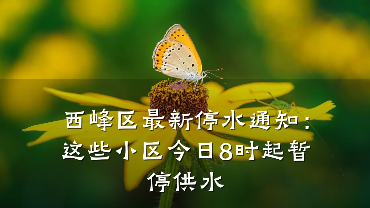 西峰区最新停水通知：这些小区今日8时起暂停供水