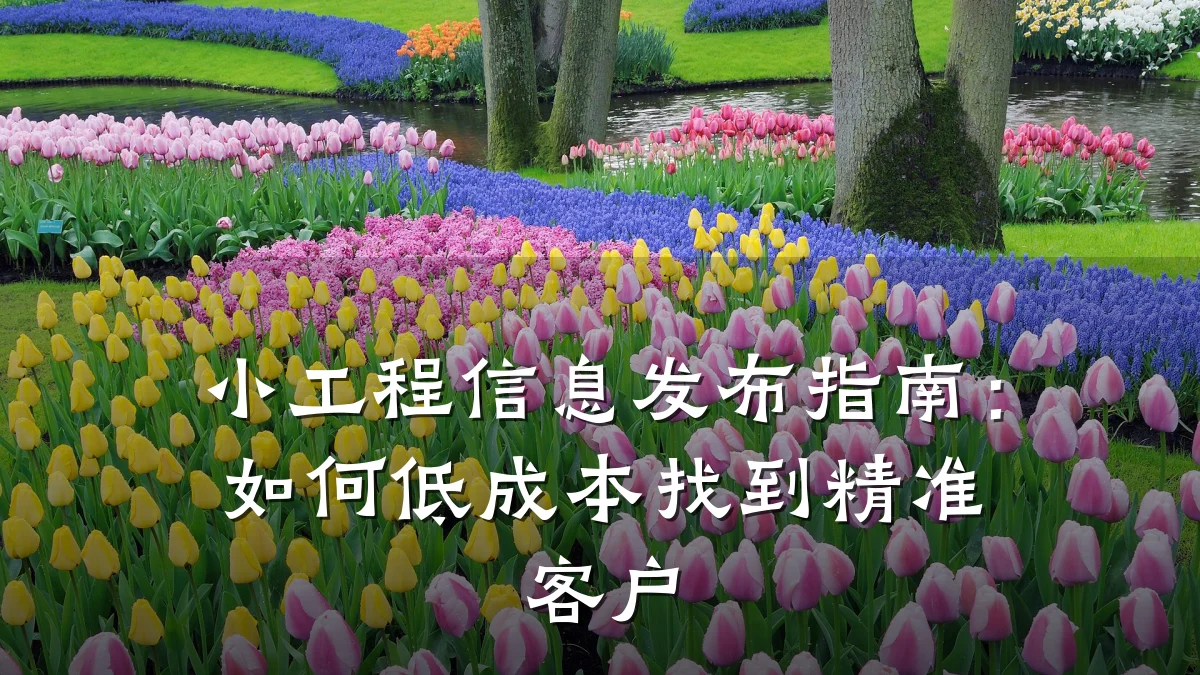 小工程信息发布指南:如何低成本找到精准客户