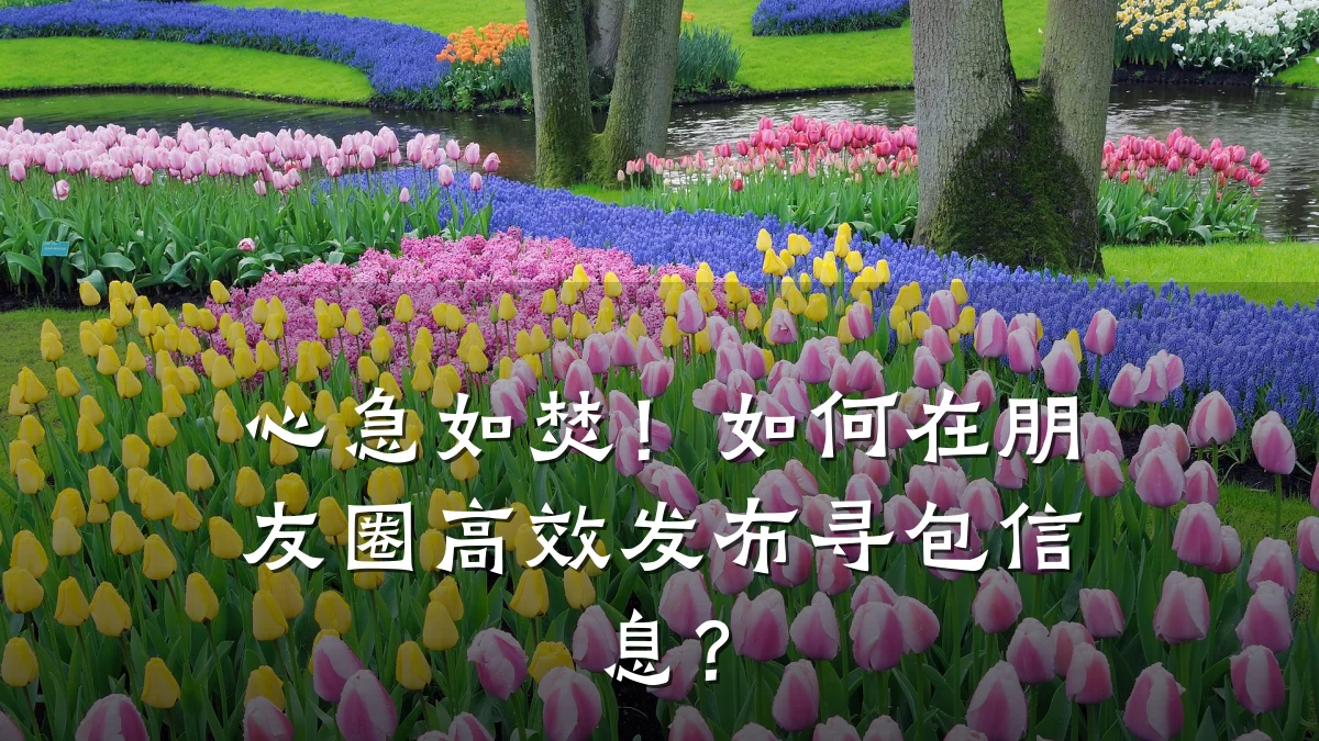 心急如焚!如何在朋友圈高效发布寻包信息?