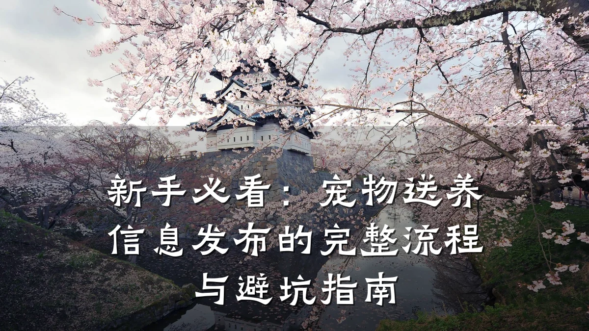 新手必看:宠物送养信息发布的完整流程与避坑指南