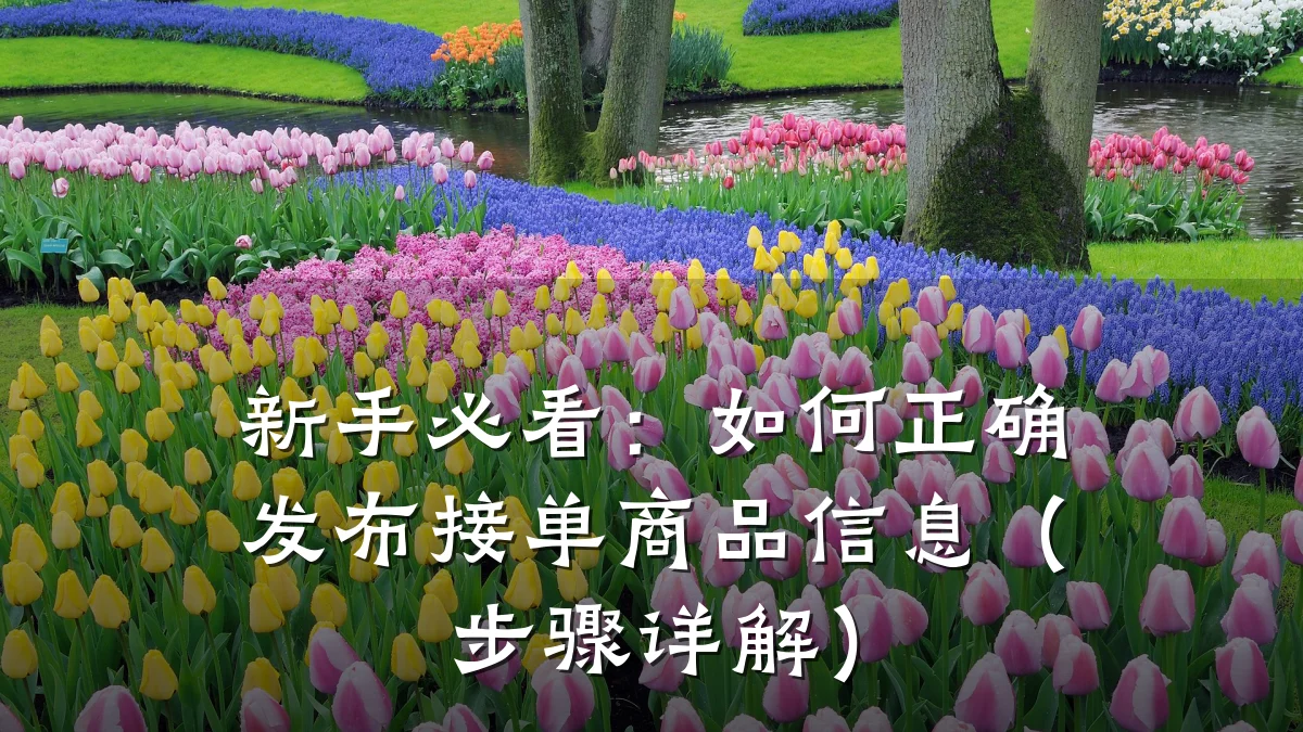 新手必看:如何正确发布接单商品信息(步骤详解)