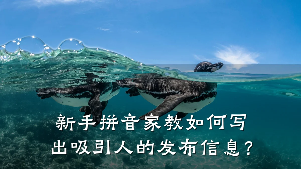 新手拼音家教如何写出吸引人的发布信息?