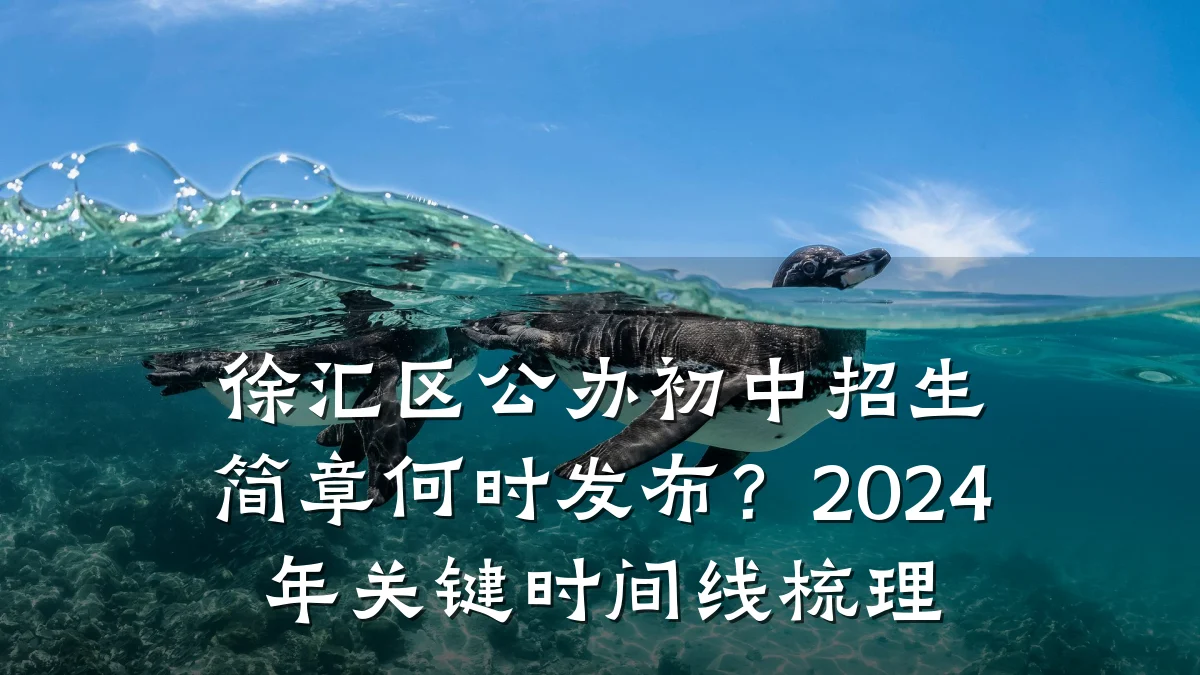 徐汇区公办初中招生简章何时发布?2024年关键时间线梳理