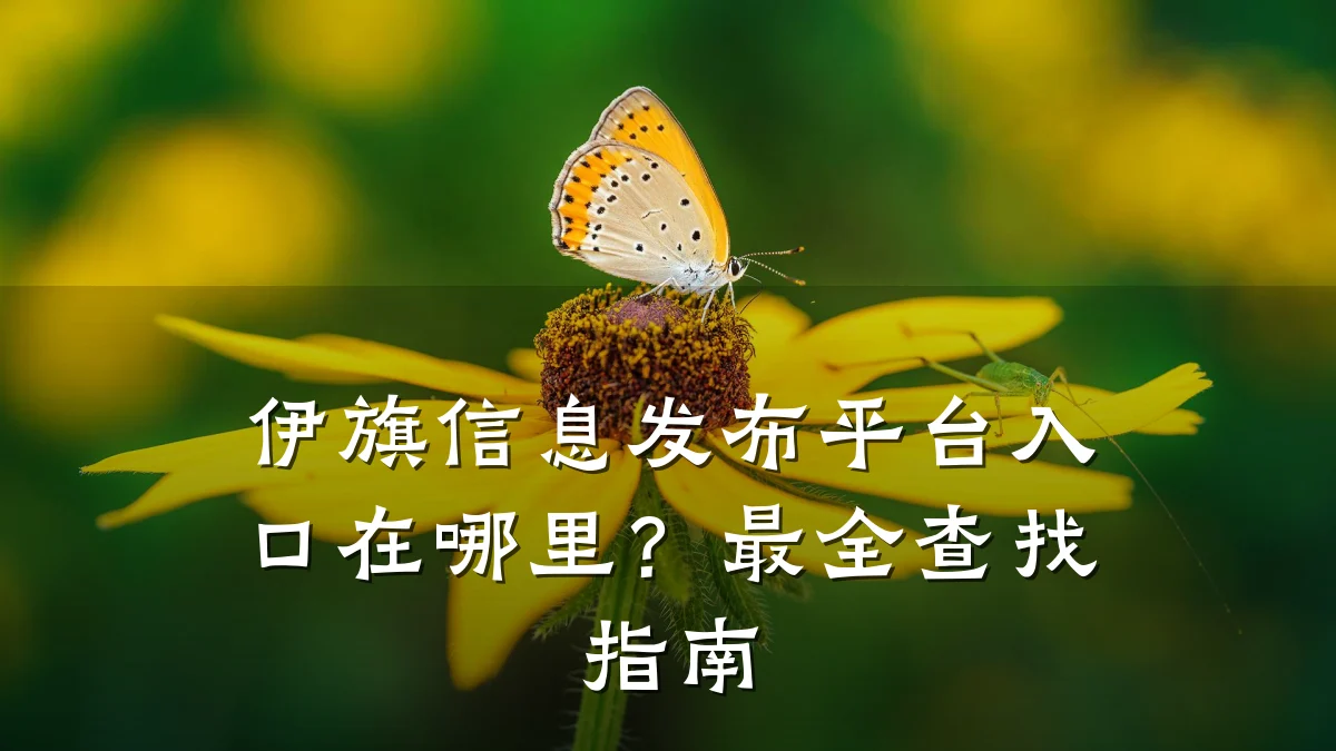 伊旗信息发布平台入口在哪里?最全查找指南