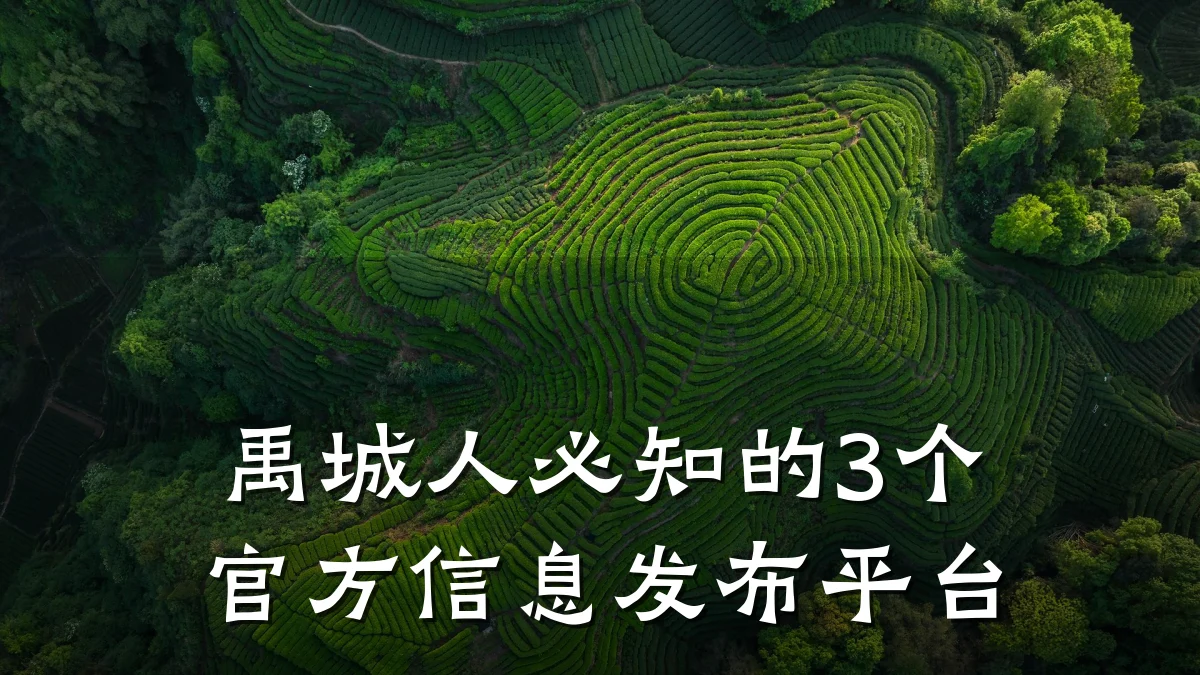 禹城人必知的3个官方信息发布平台