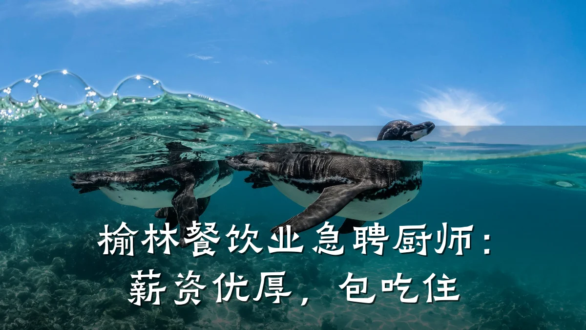 榆林餐饮业急聘厨师:薪资优厚,包吃住