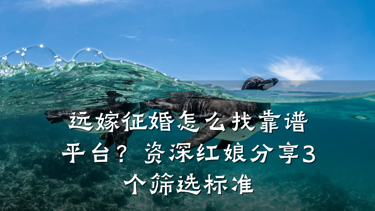 远嫁征婚怎么找靠谱平台?资深红娘分享3个筛选标准