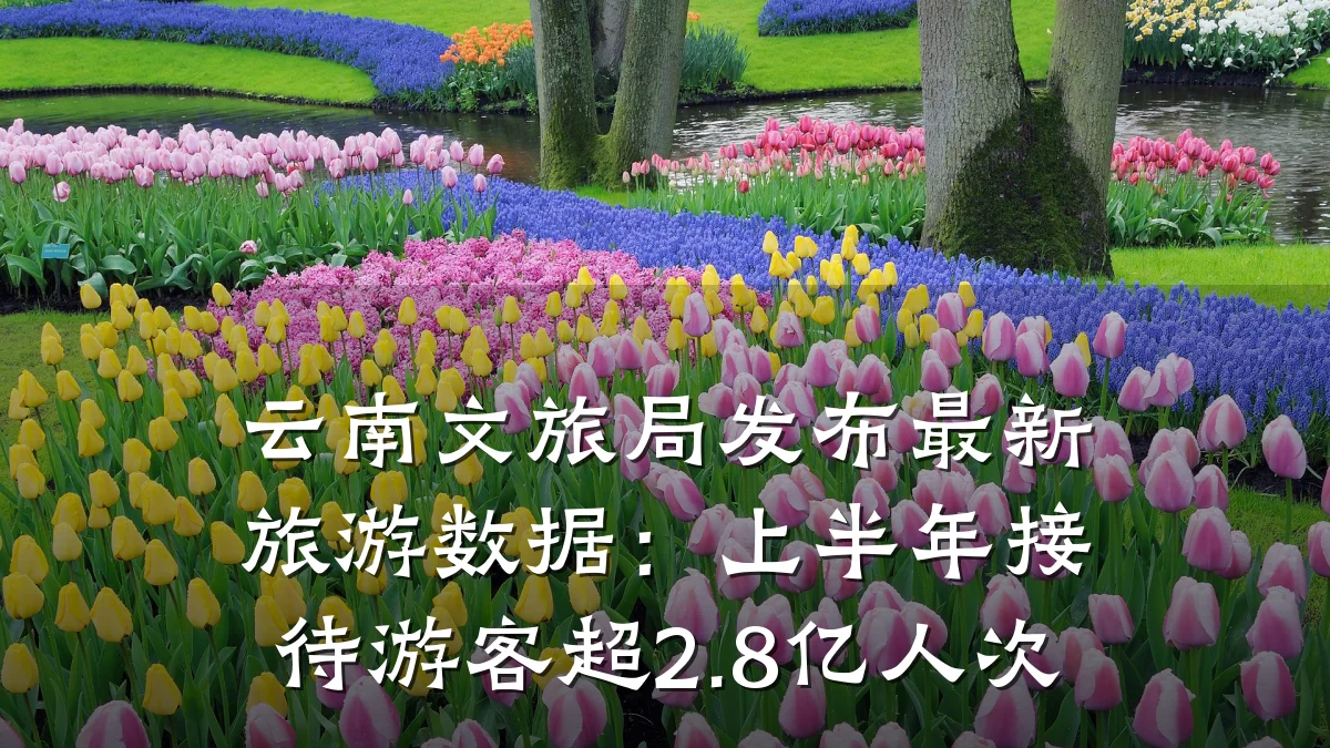 云南文旅局发布最新旅游数据:上半年接待游客超2.8亿人次
