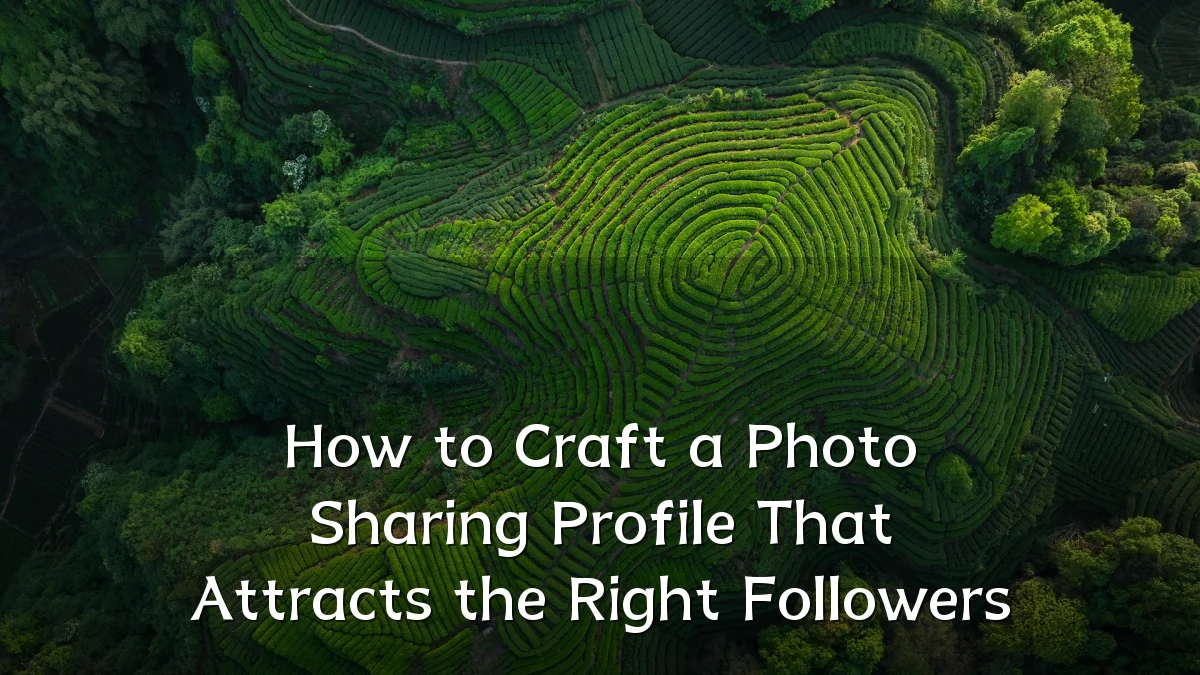 How to Craft a Photo Sharing Profile That Attracts the Right Followers