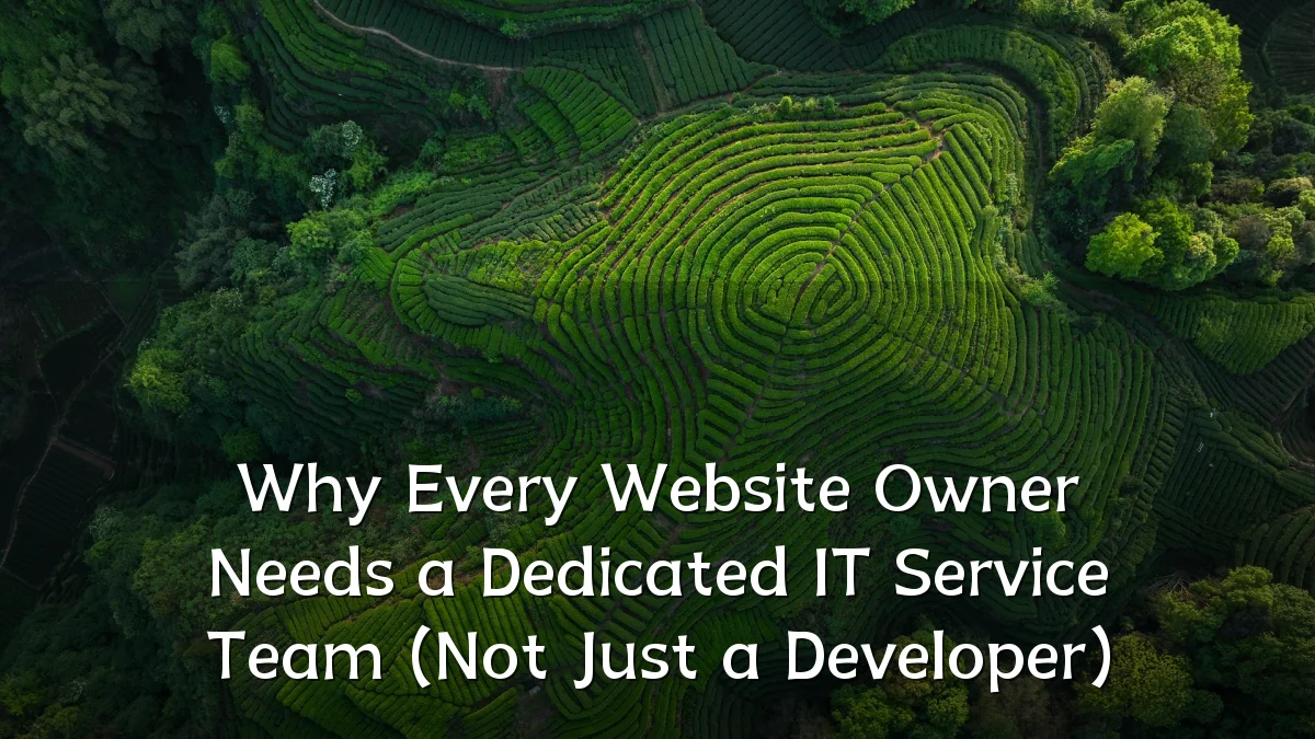 Why Every Website Owner Needs a Dedicated IT Service Team (Not Just a Developer)